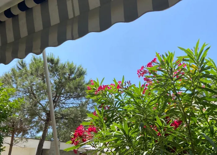 Wake Up By The Sea-beachfront In Qerret, Albania Lejlighed Golem (Tirana)